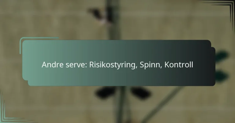 Andre serve: Risikostyring, Spinn, Kontroll