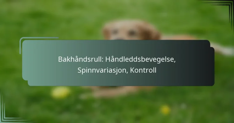Bakhåndsrull: Håndleddsbevegelse, Spinnvariasjon, Kontroll
