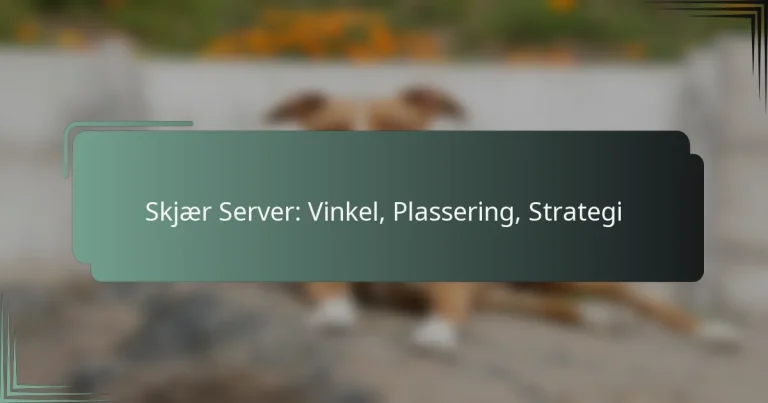 Skjær Server: Vinkel, Plassering, Strategi